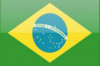 BRAZÍLIA ZVÝŠENÝ VÝSKYT ŽLTEJ ZIMNICE