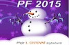 Šťastný nový rok 2015