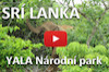 Druhý diel seriálu - Srí Lanka - Safari - Národný Yala park