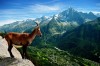 SLOVENSKO zaujalo Ameriku