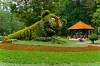 Tao Dan Park, Saigon